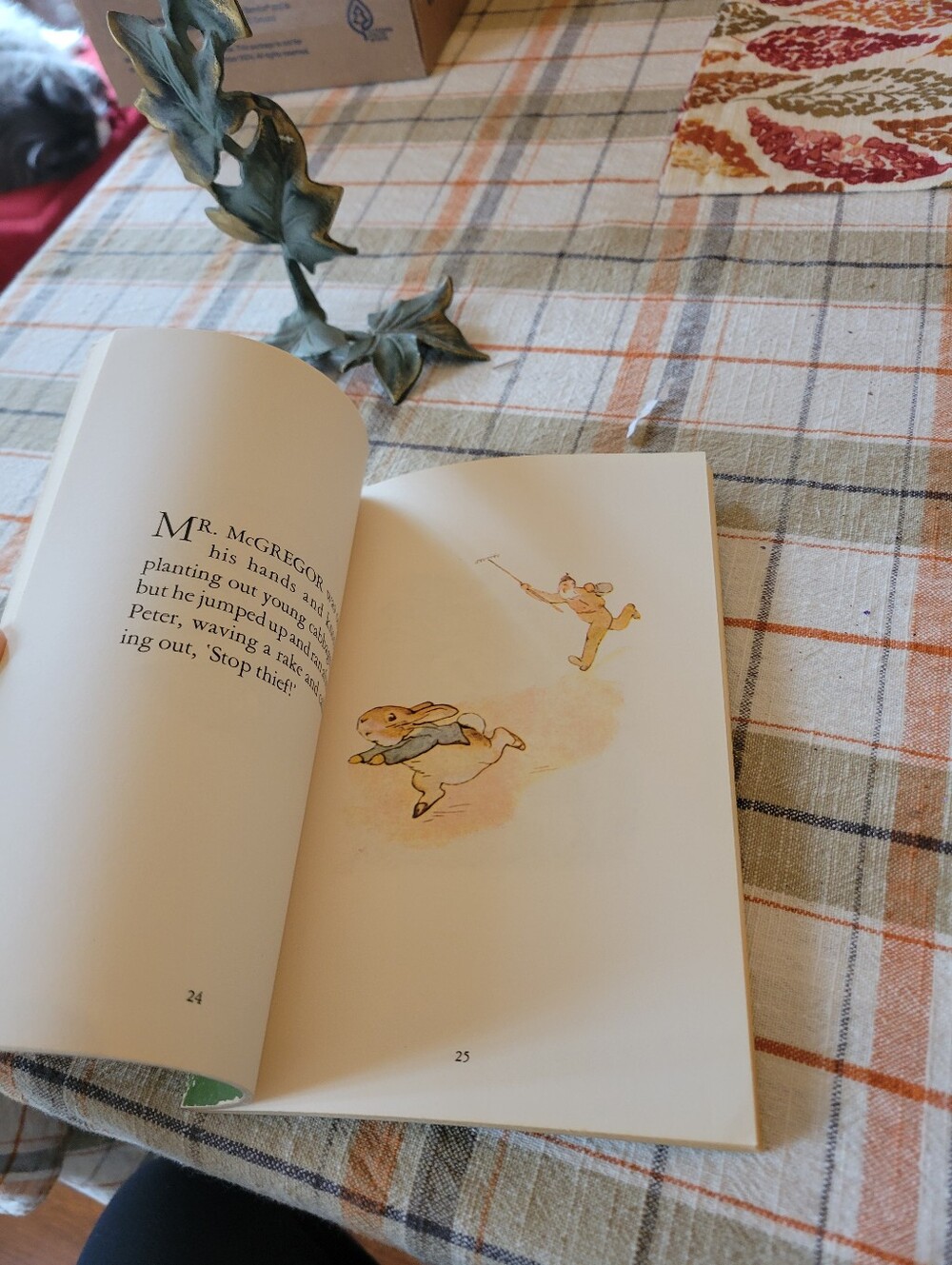 Peter Rabbit Barbie With Picture Book! - Picture 9 of 10